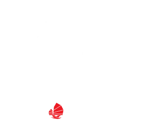 hong-kong-tour